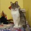 Отзыв от Оксана Кочеткова
